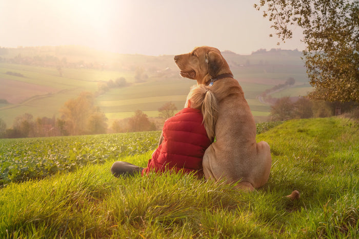 Person with pony tail leaning against a golden retriever. 
