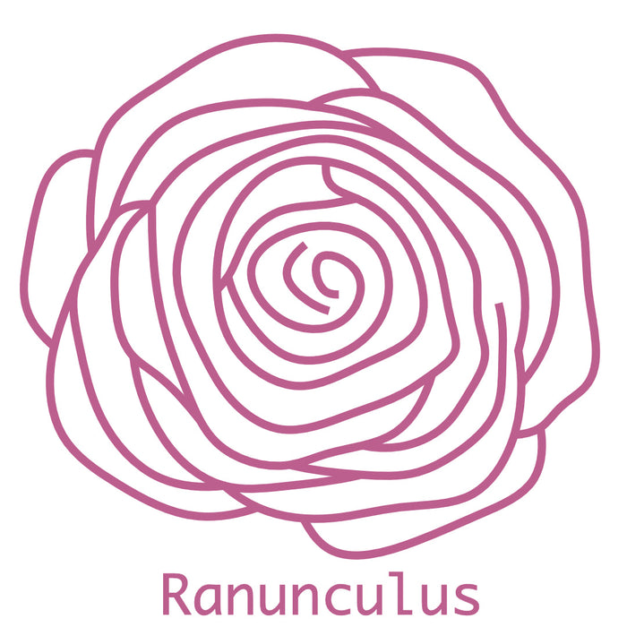 Ranunculus line drawing.