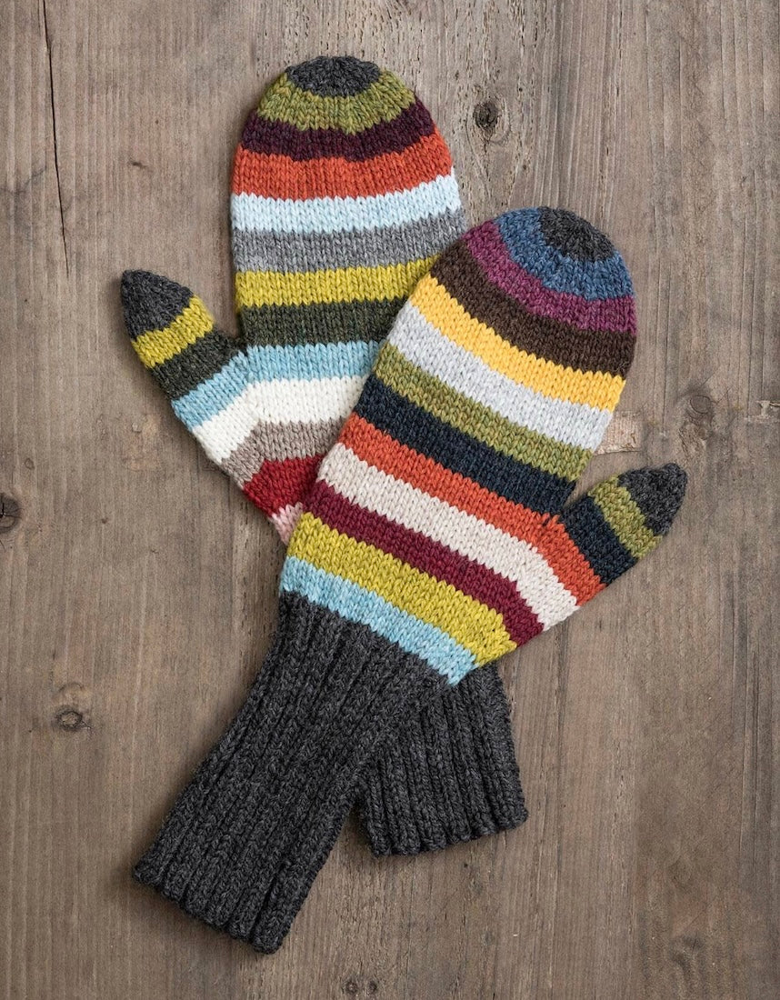 21 Color Mitten Kit