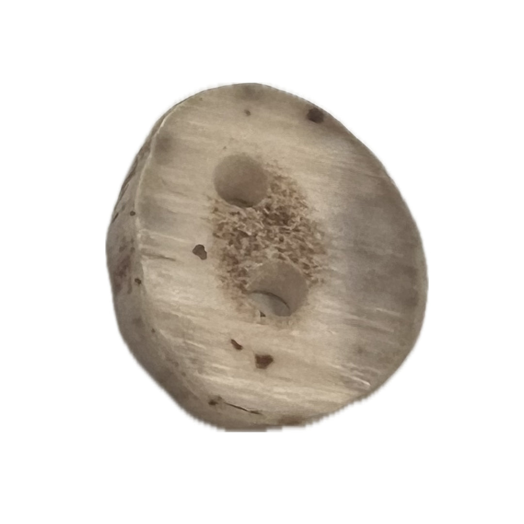 Button made from a cross section of an antler with 2 holes.