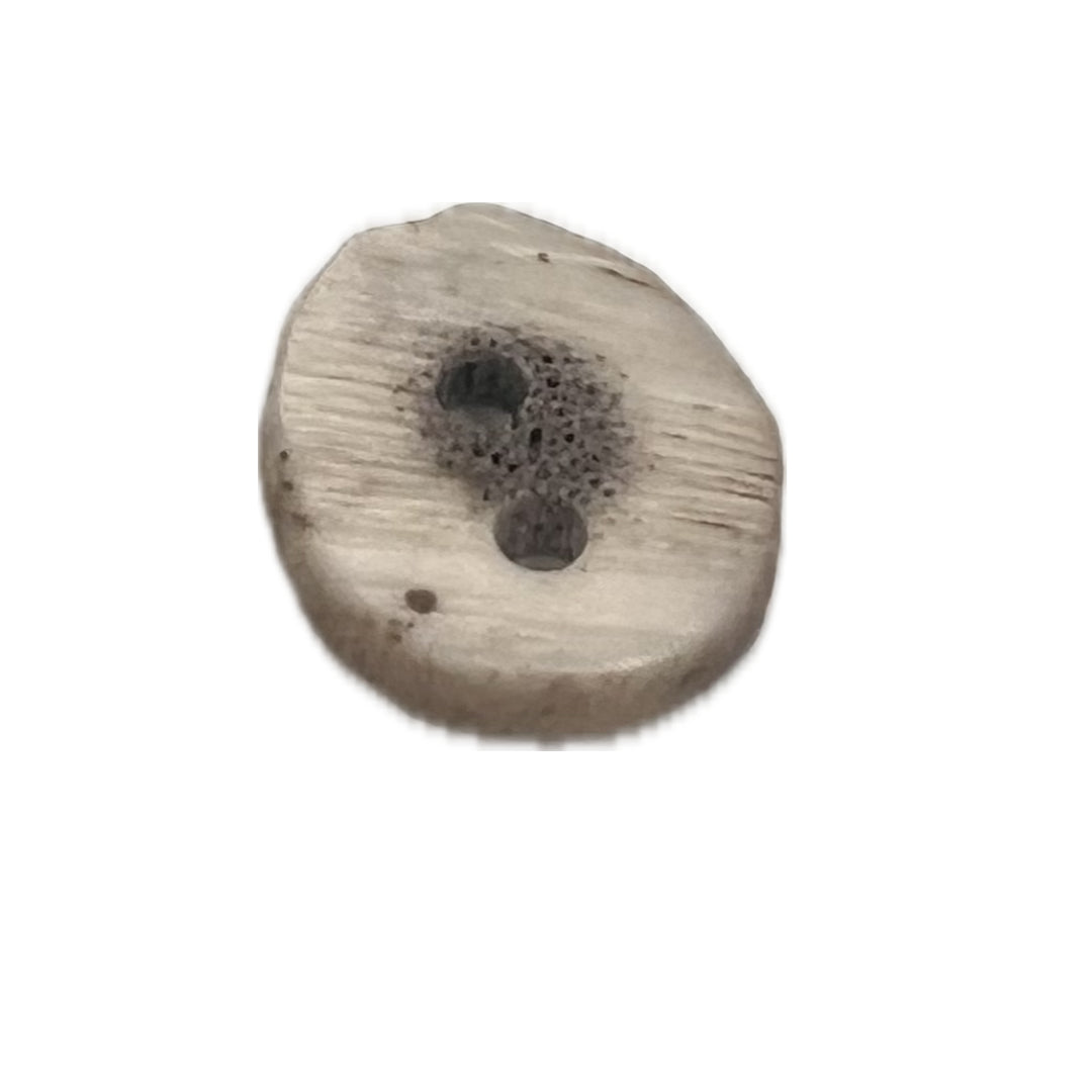 Button made from the cross section of an antler with 2 holes.