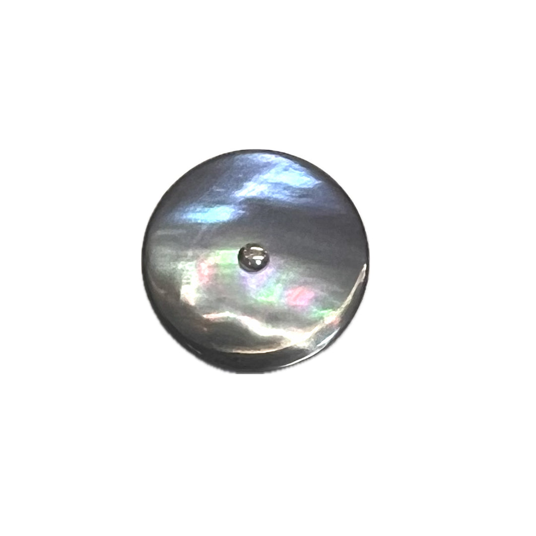 gray shell shank button