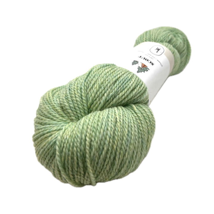 A skein of mint green heathered wool yarn.