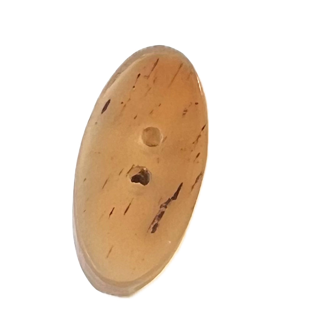 horn button with 2 holes