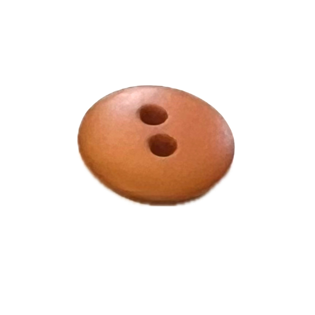 brown button with 2 holes.